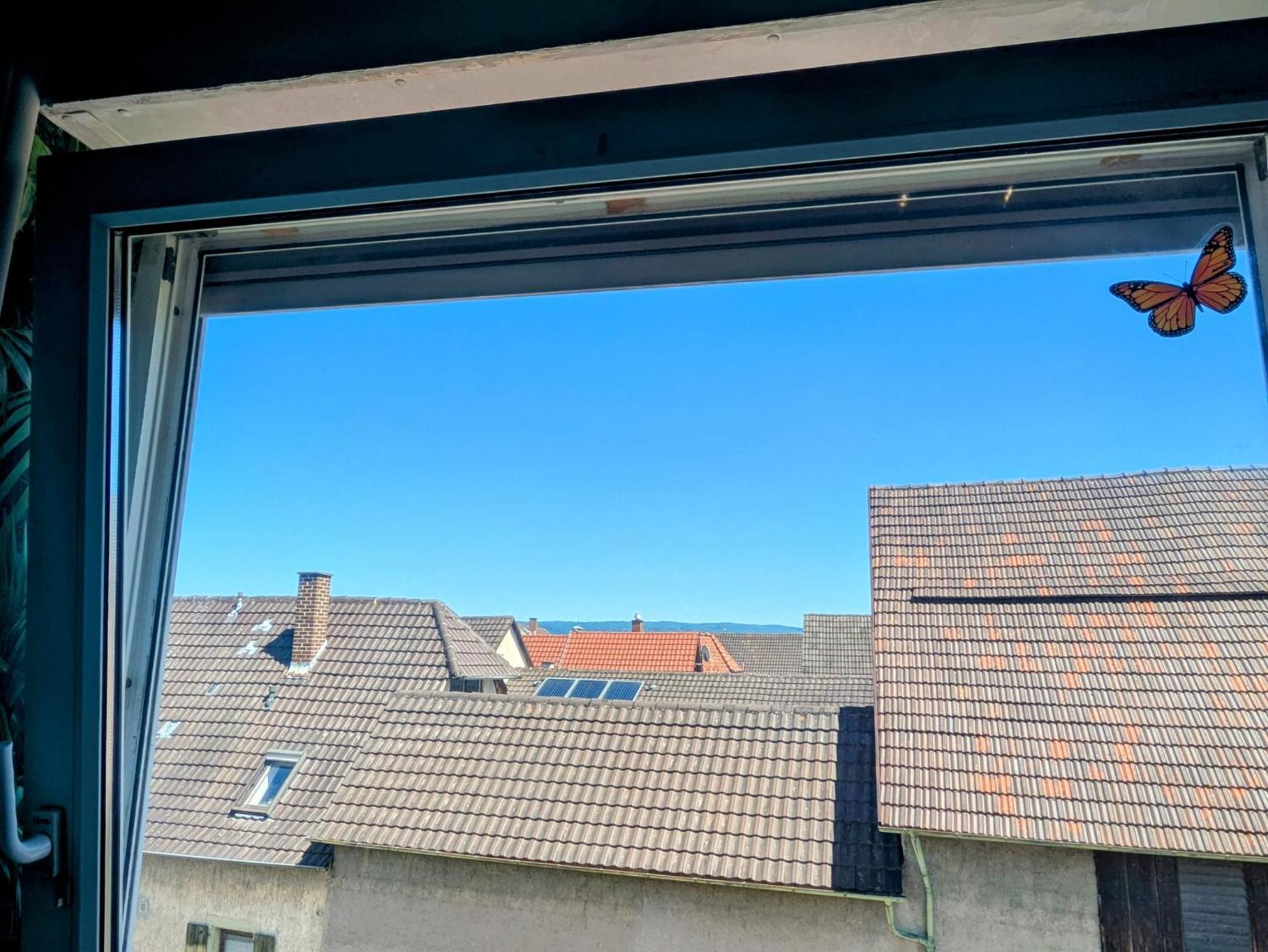 Apartamento Delfina Naehe Europa Park Rust Kappel-Grafenhausen Exterior foto